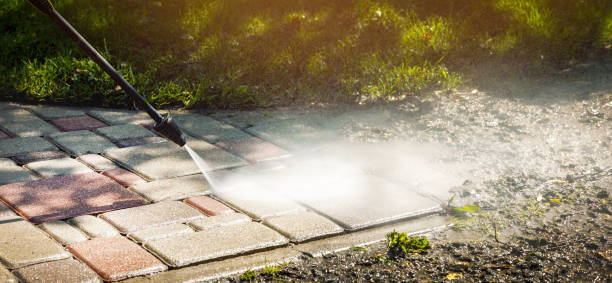 Best Fence Cleaning  in Willards, MD