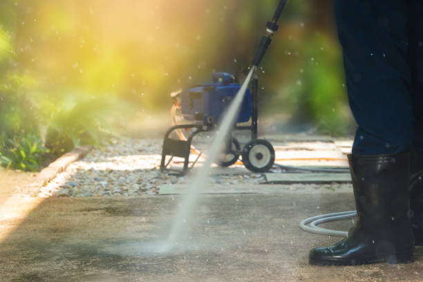 Pre-Holiday Cleaning in Willards, MD